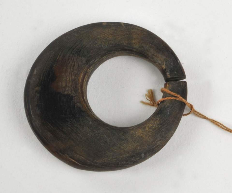 Nasenring