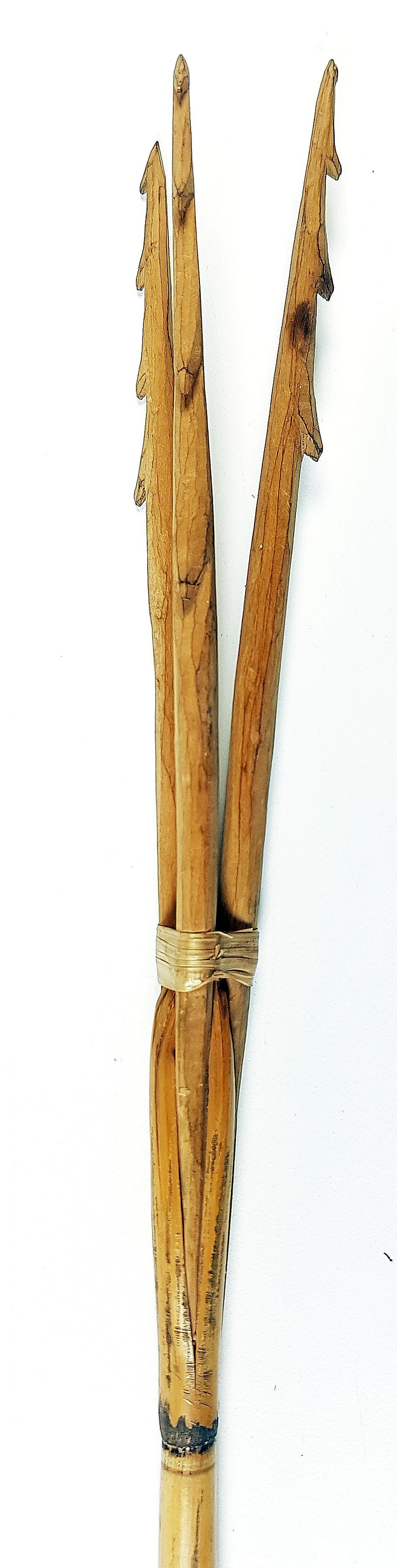 Fisch-Speer