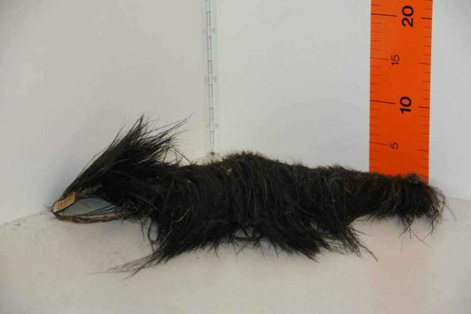 Federschmuck-Schurz für Frauen