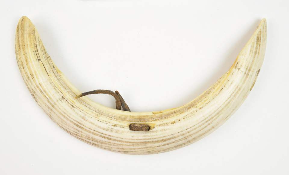 Stirnschmuck = Lakrân, aus Kitoto