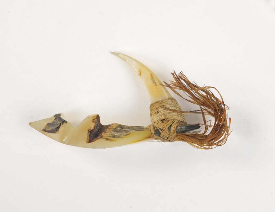 Fisch-Angel, Angelhaken
