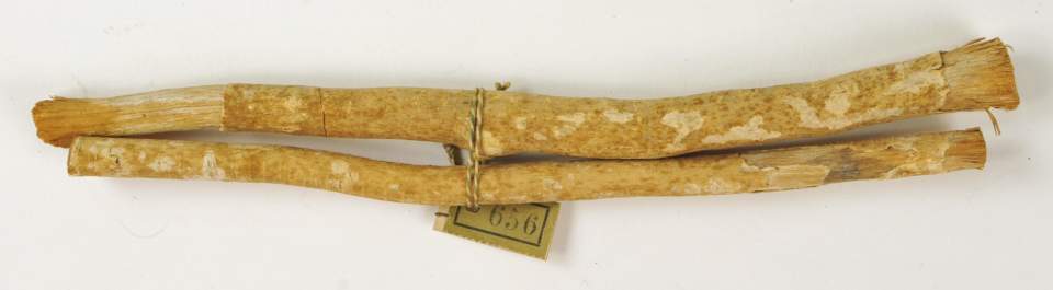 2 rohe Holzstücke zum Zähneputzen