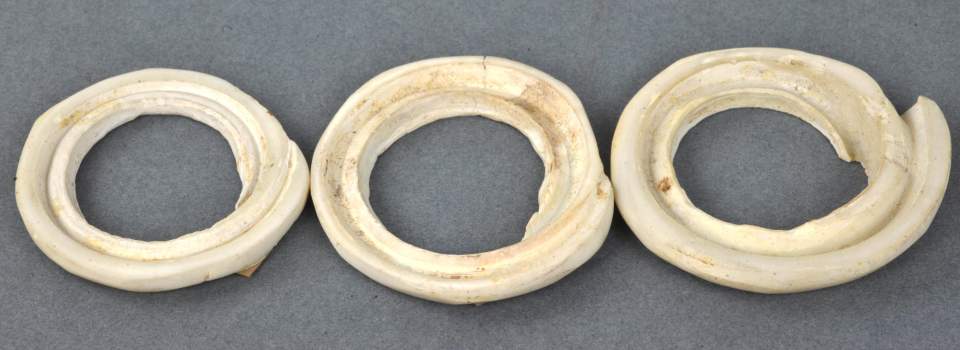 3 Muschelringe