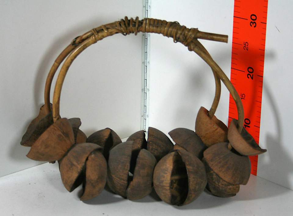 Haifisch-Rassel