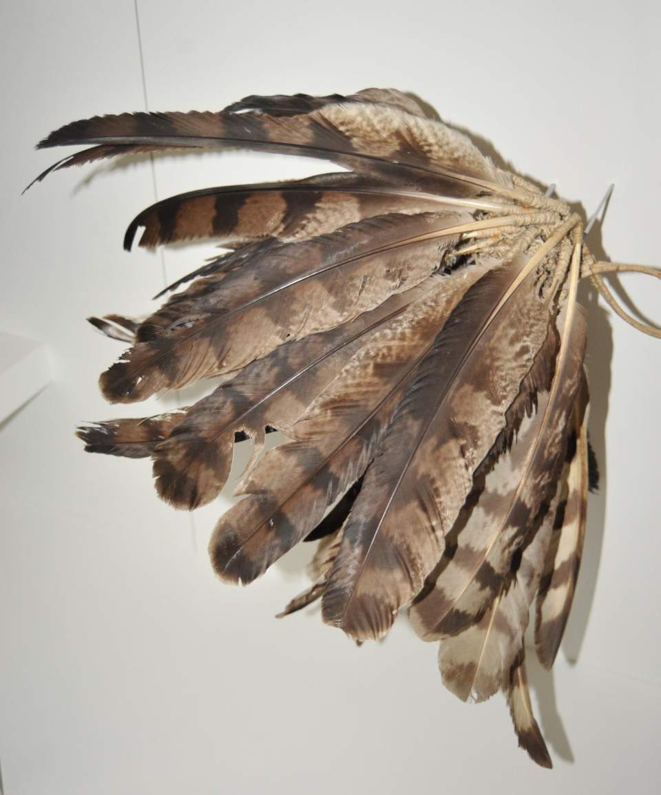 Federschmuck-Schmuck