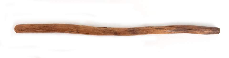 Nasenstab