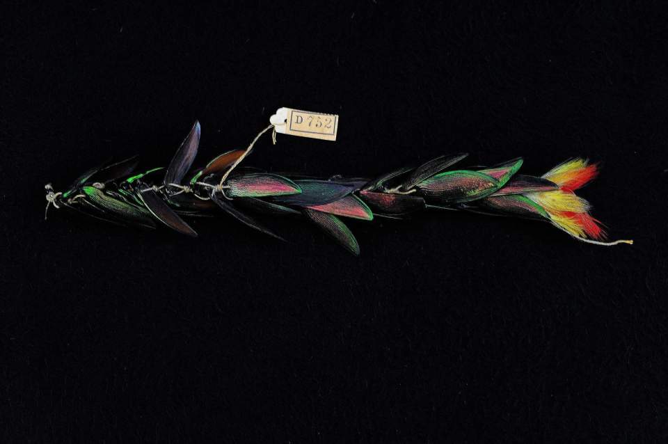 Federschmuck-Ohrschmuck (Paar)