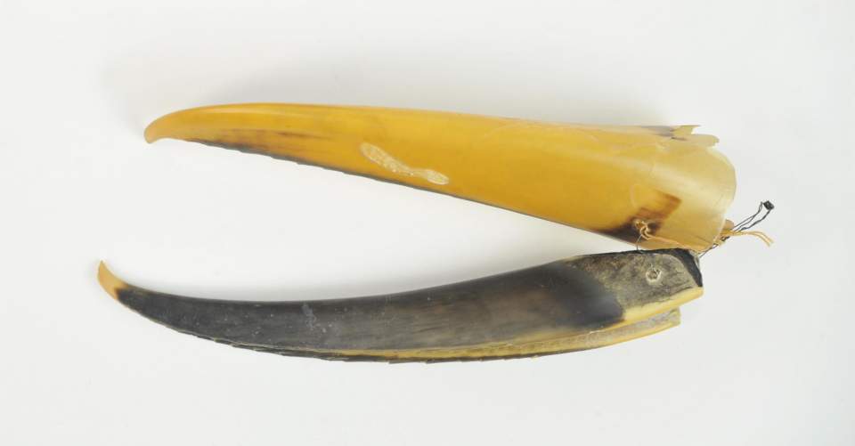 Tanzschmuck, Rassel