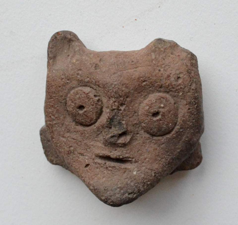 Tonkopf
