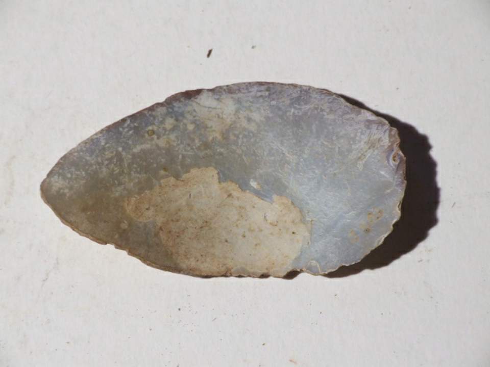 Schabmuschel "tuvai"