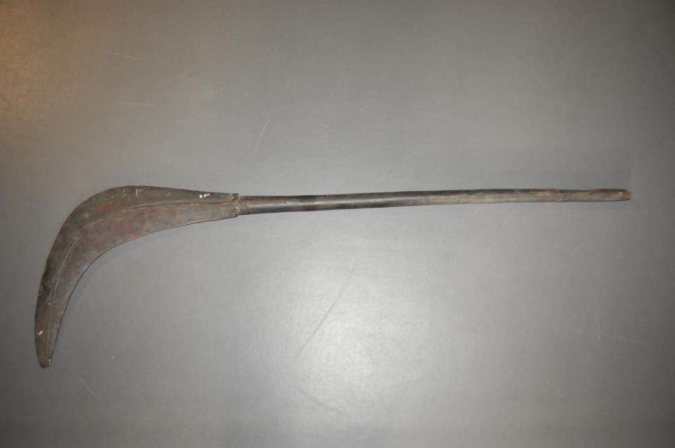Keule, Schildkeule