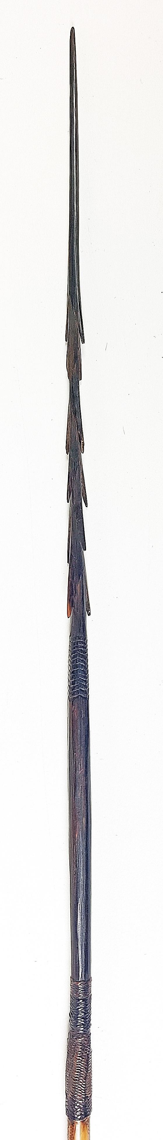 Pfeil der Afar-Pygmäen