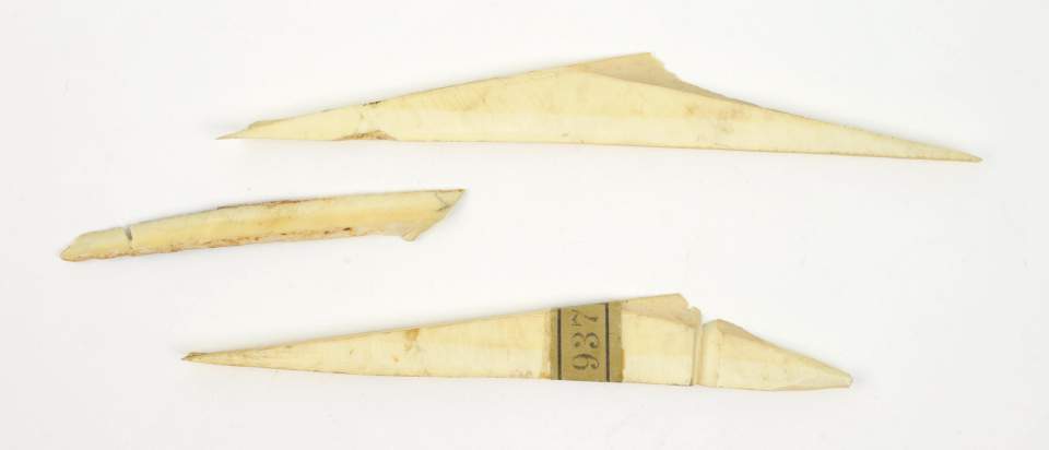 3 Knochenstücke