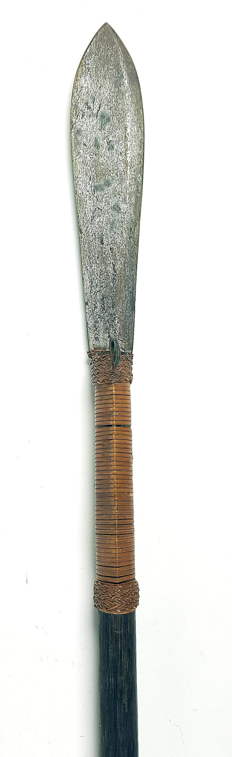 Speer mit Blasrohr