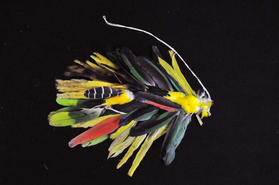 Federschmuck