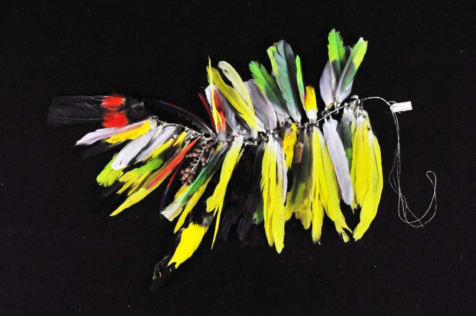 Federschmuck