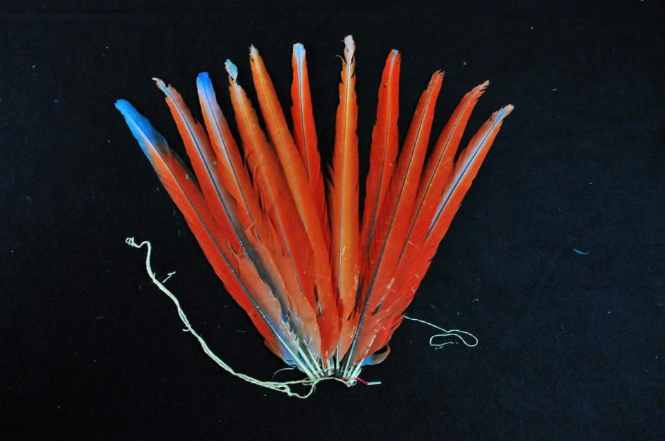 Federschmuck-Kopfschmuck