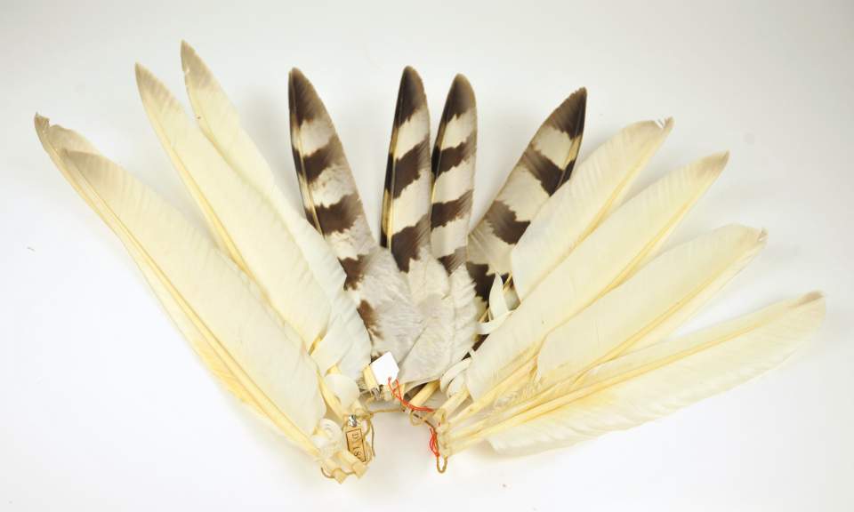 Federschmuck, Kopfschmuck