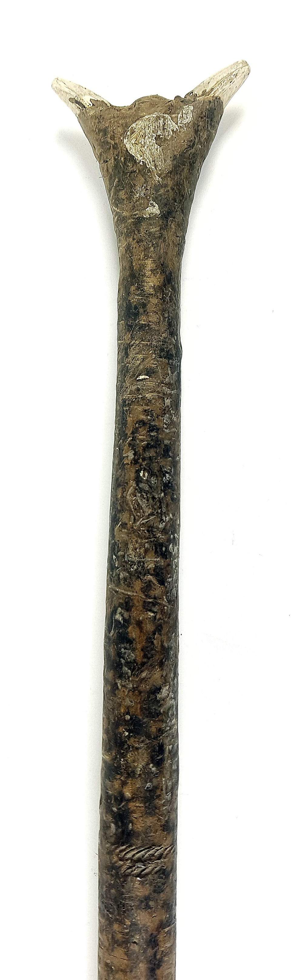 Blasrohr