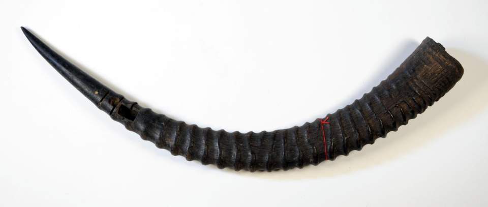 Kriegshorn