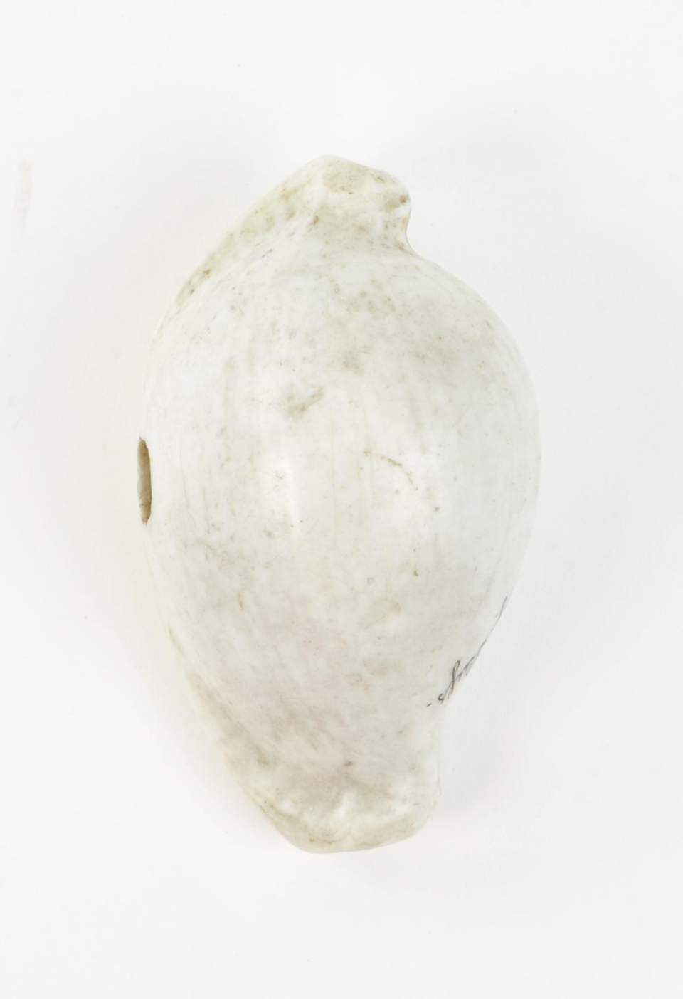 Brustschmuck, Muschel