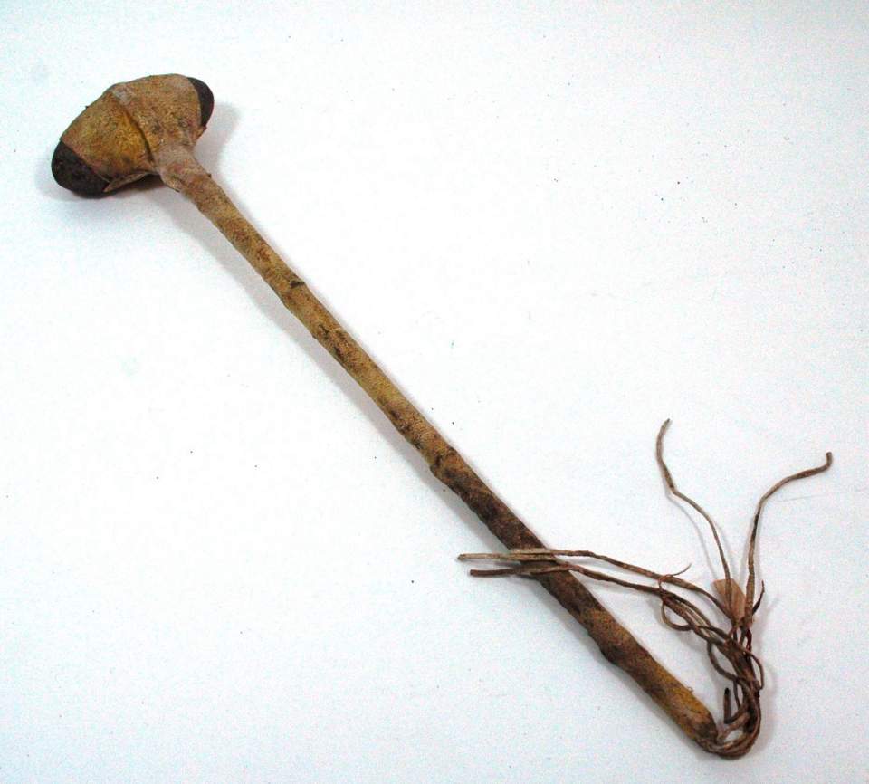 Keule, Hammerkeule