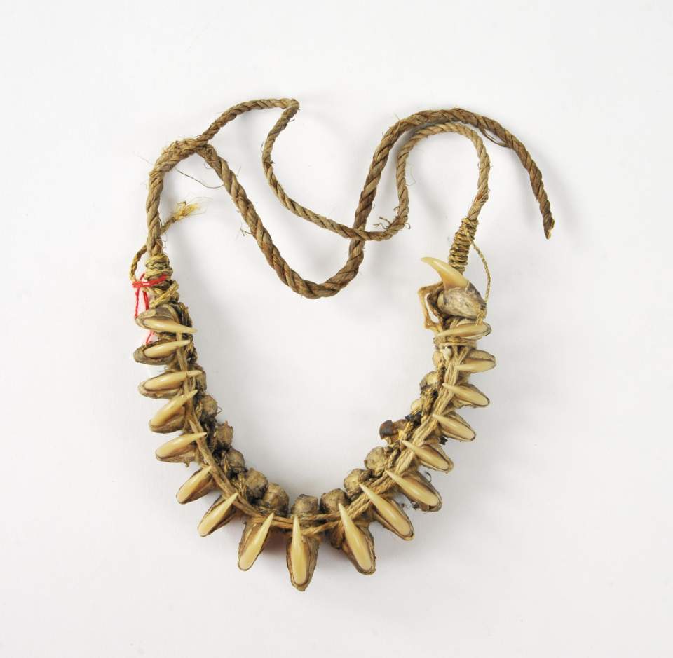 Stirnschmuck aus Jaguarklauen