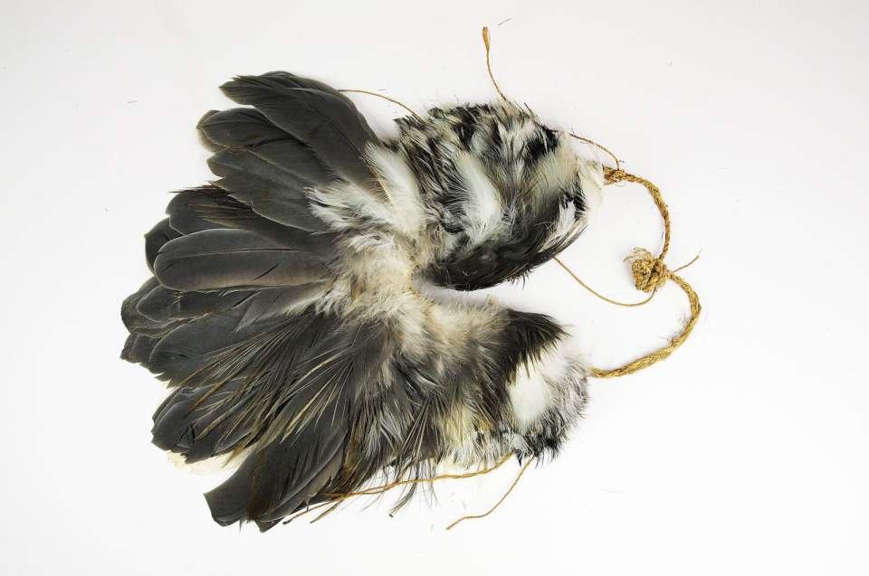 Federschmuck-Kopfschmuck
