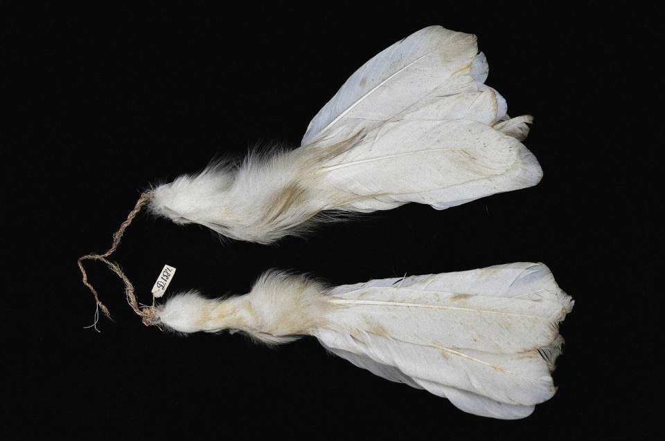 Federschmuck-Hänge - schmuck