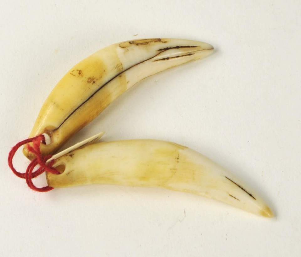 Zwei Amulette aus Löwenzähnen