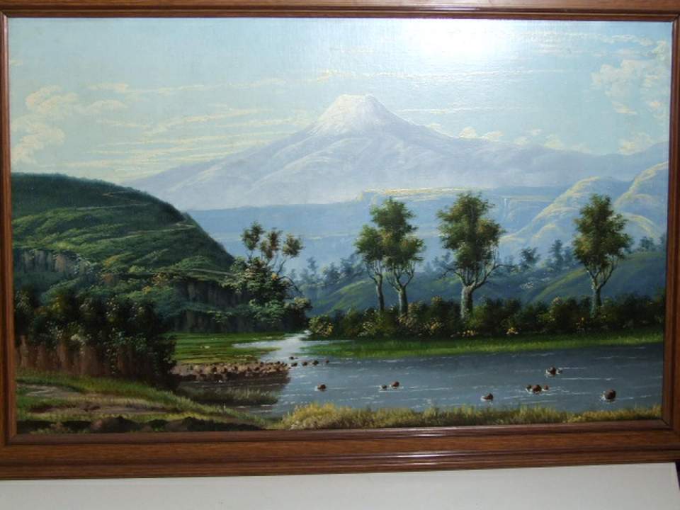 Ansicht des Cotopaxi