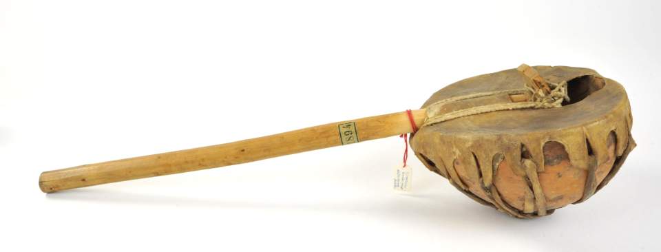 Saiteninstrument