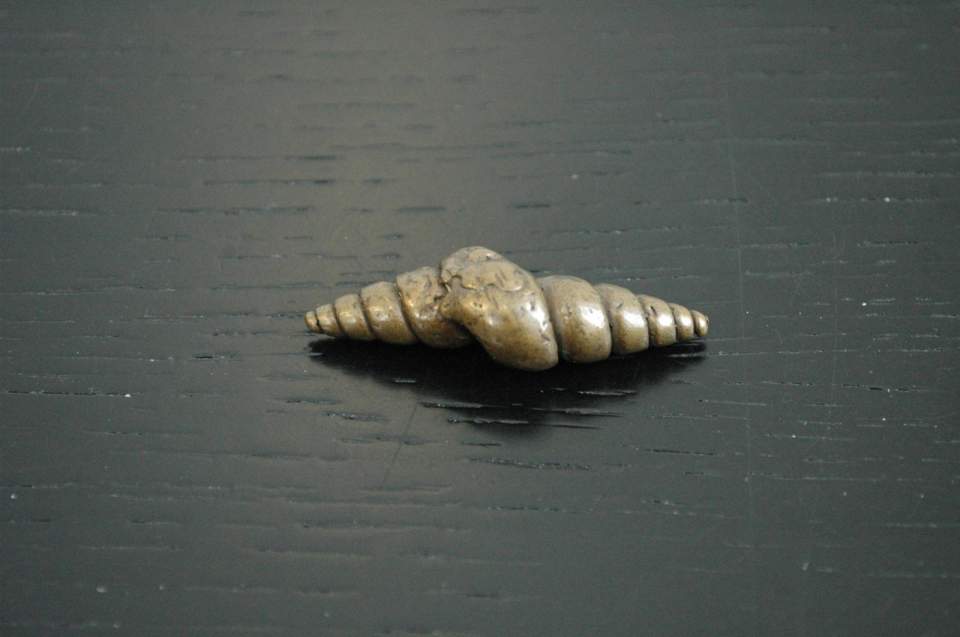 Goldgewicht Doppelschnecke