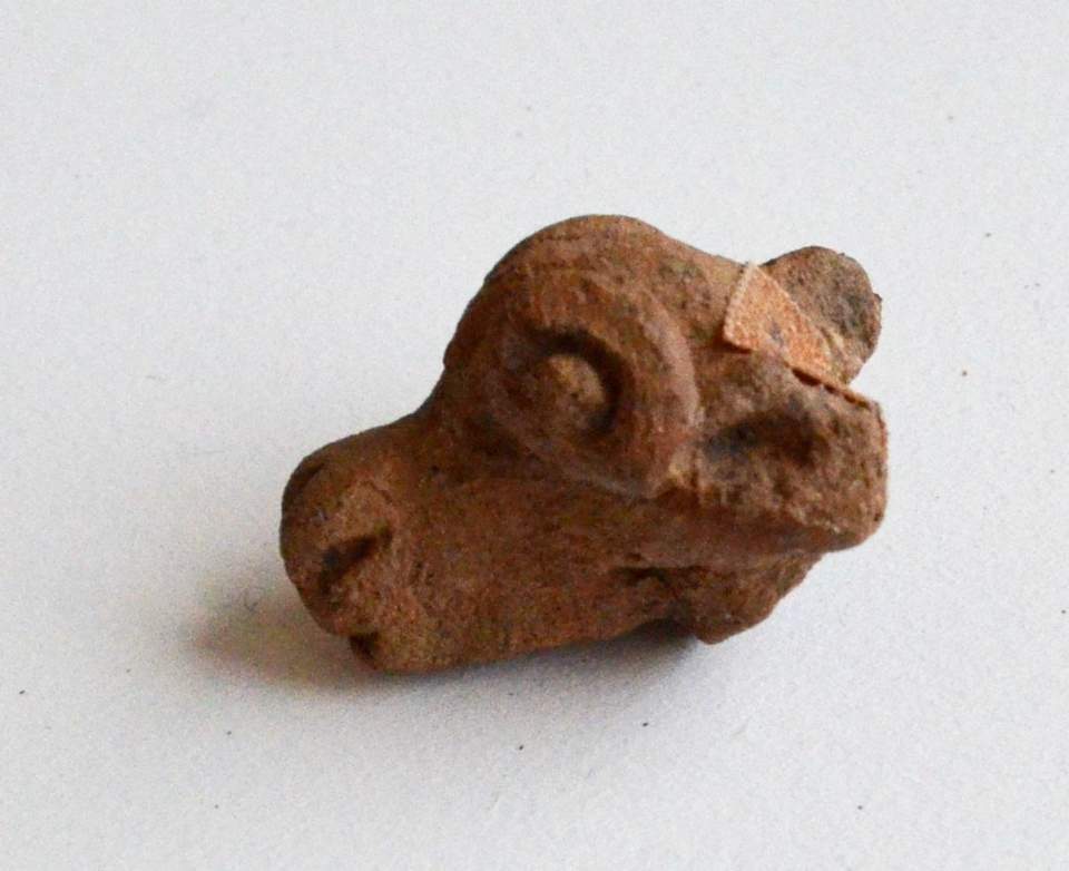 Tonkopf, Tier