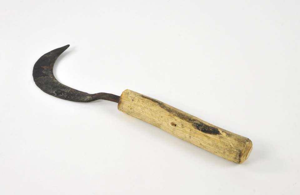 Sichel