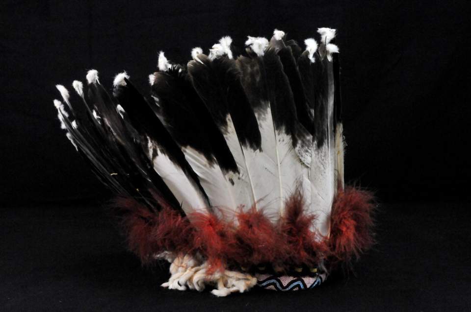 Federschmuck, Federhaube
