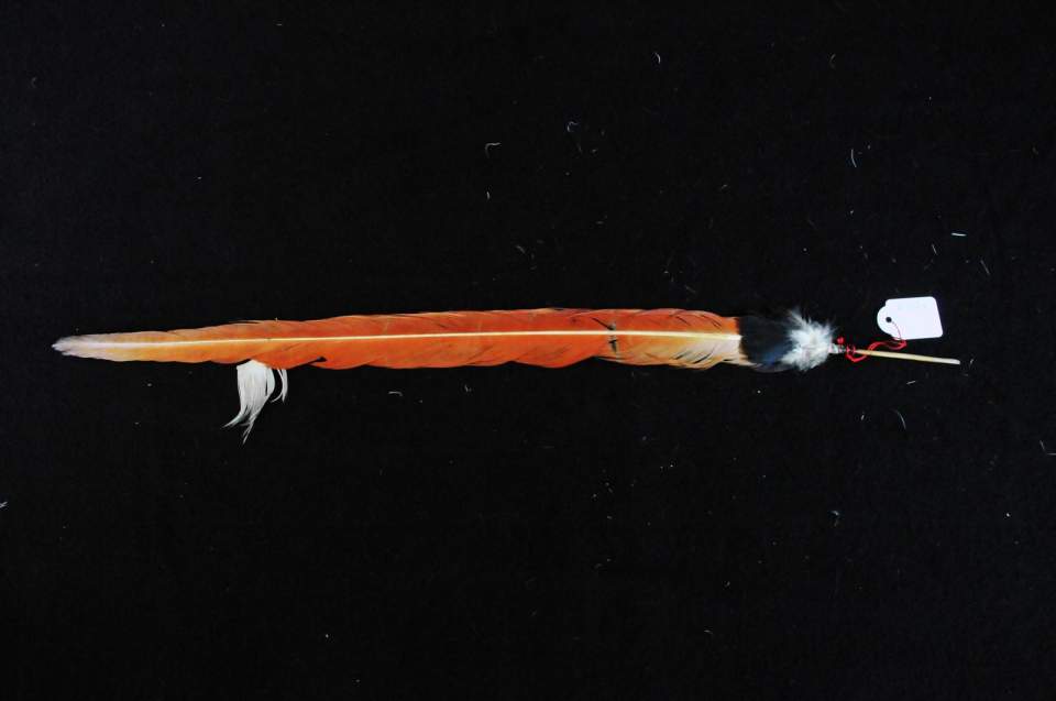 Federschmuck