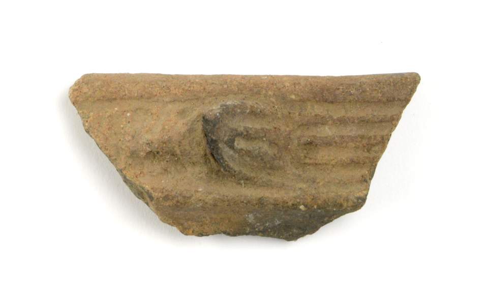 Fragment