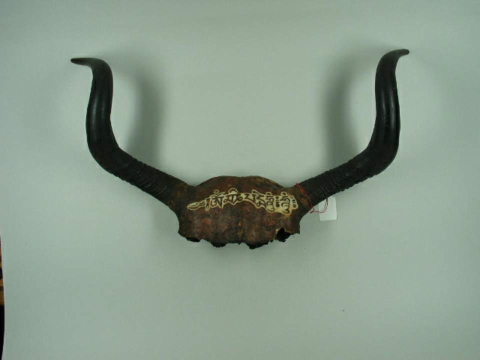 Yak-Horn, Inschrift