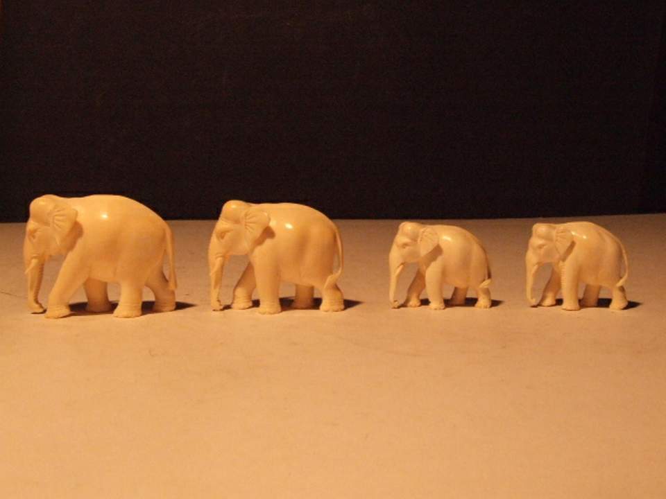 4 Elefanten aus Elfenbein