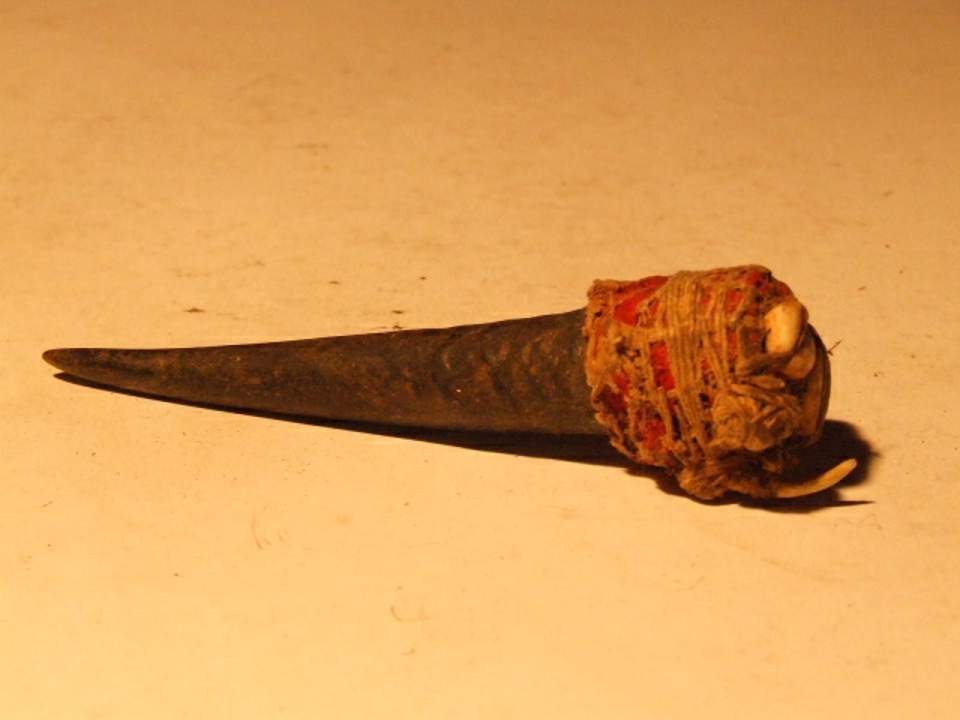 Horn mit Kaurischnecken