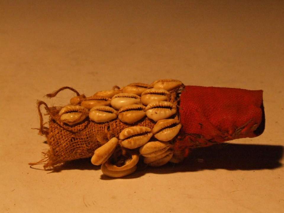 Stoff mit Kaurischnecken