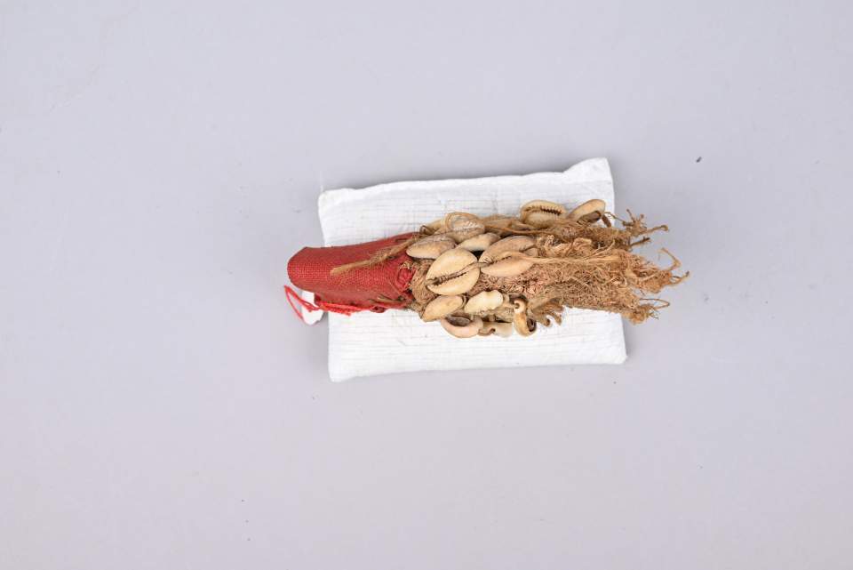 Stoff mit Kaurischnecken