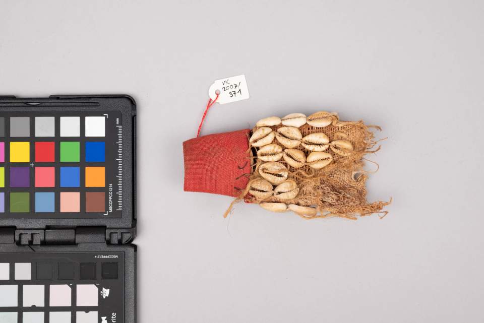 Stoff mit Kaurischnecken