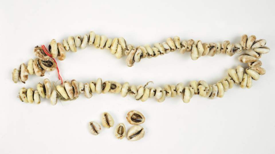 Kette aus Kaurischnecken