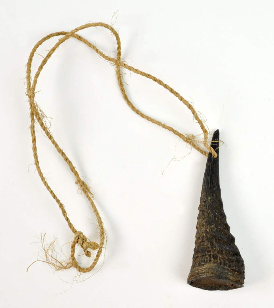 Kette oder Amulett mit Horn