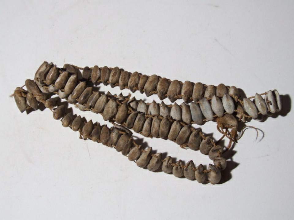 5 Rasselketten