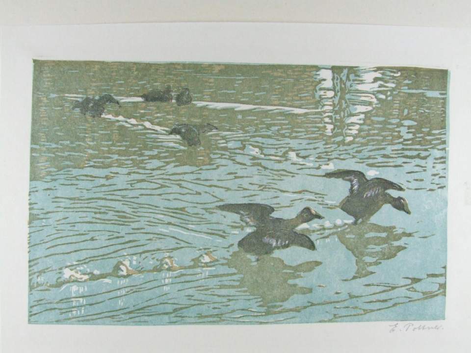 Farbholzschnitt "Enten bei der Landung auf einem See"
