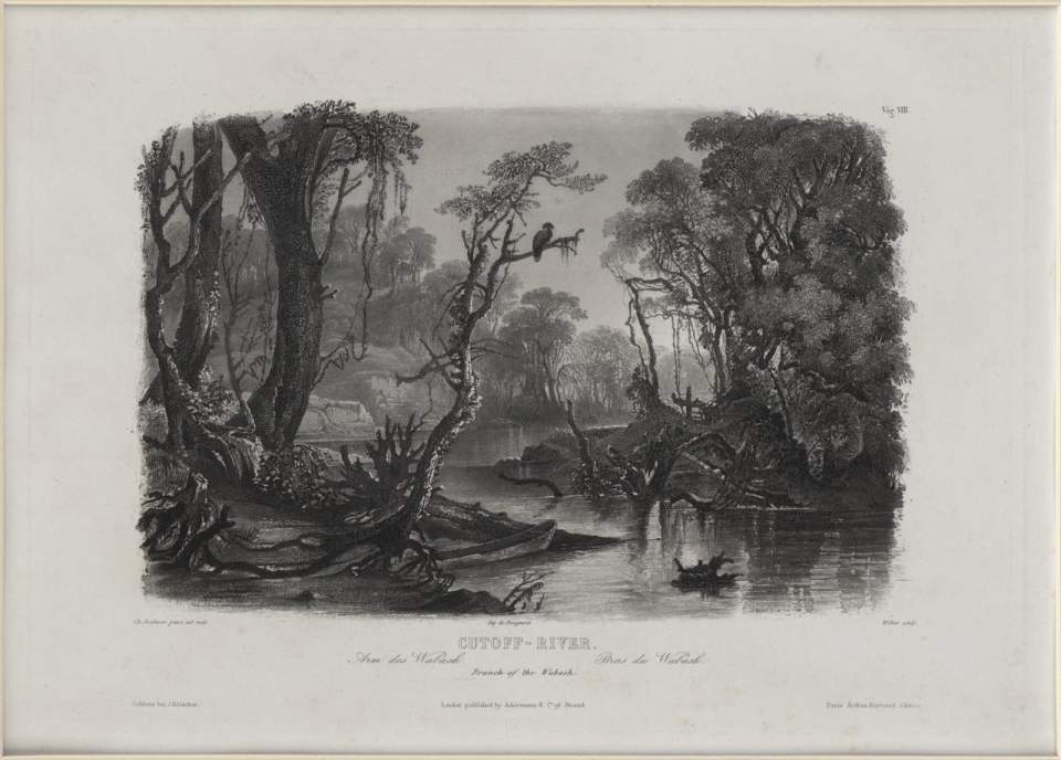 Cutoff-River, Vignette, Karl Bodmer 