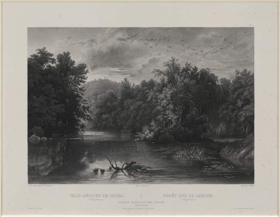 Wald-Ansicht am Lecha, Tableau, Karl Bodmer